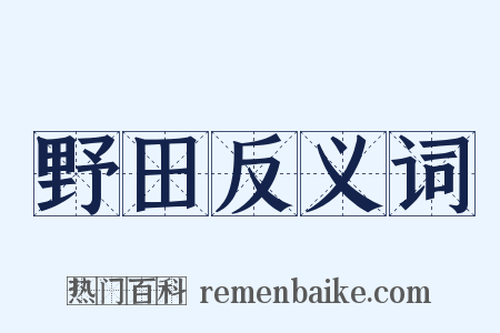 野田反义词是什么意思的图片